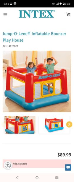 Intex Inflatable