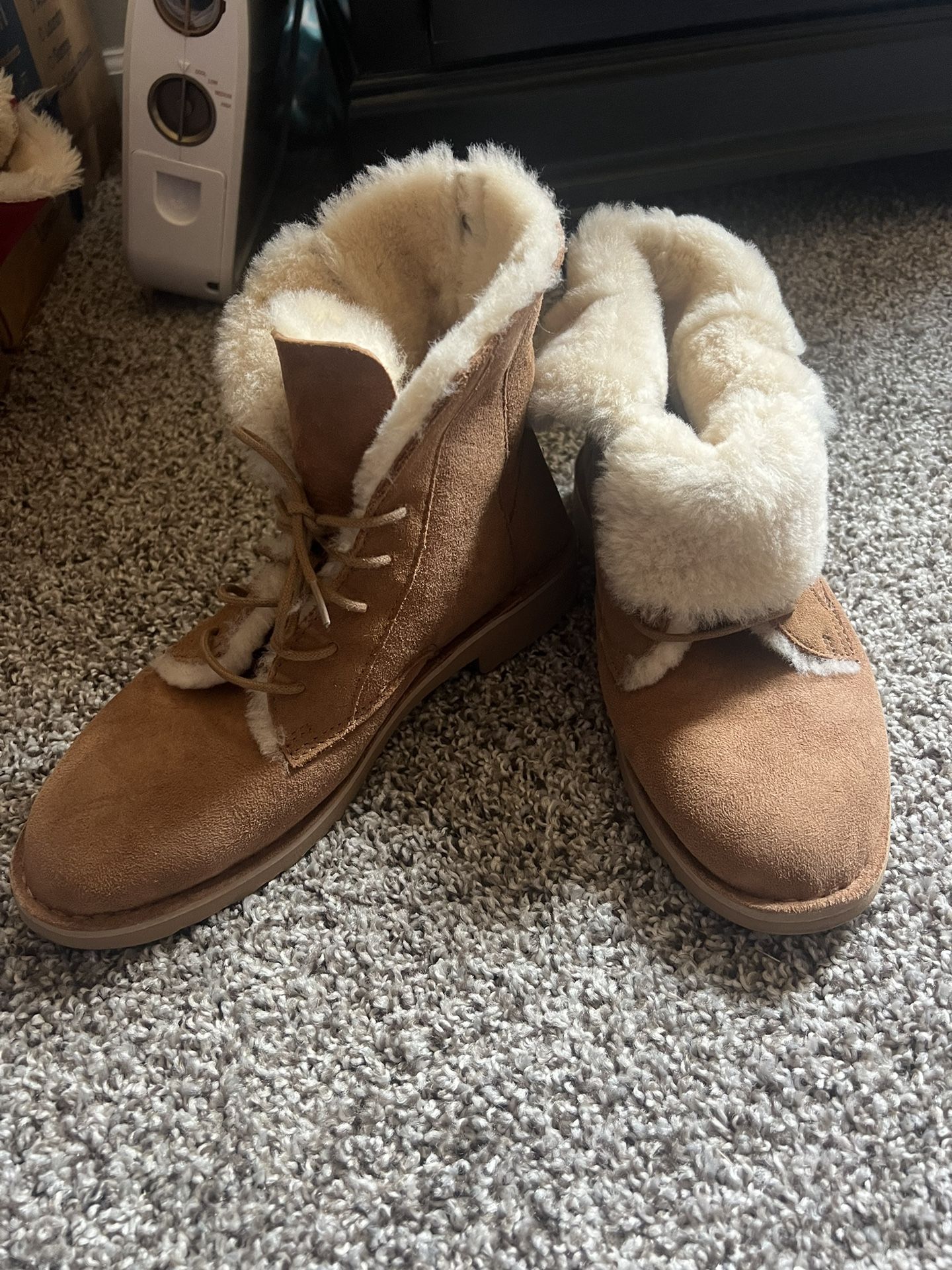 UGG Boots (Booties)