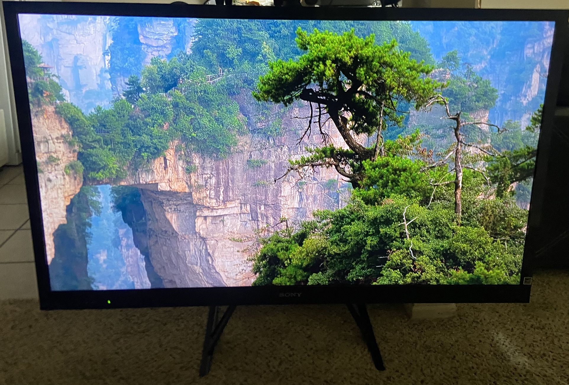 55” Sony Bravia