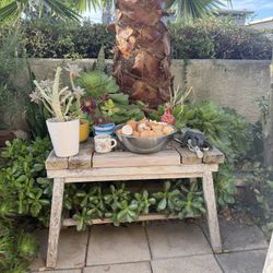 Free outdoor solid wood bench—I use it to hold potted plants.