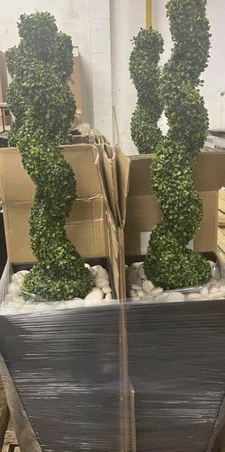 Topiary Plants And Planters $350 Set 