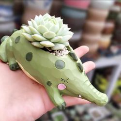 Flower pot, Resin Succulent Pot