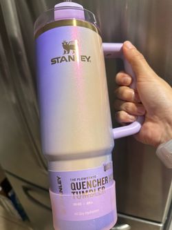 Wicked for Good Stanley Quencher H2.0 Flowstate Tumbler 30oz