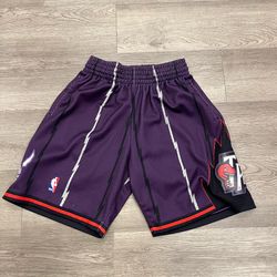 Toronto Raptors Mitchell & Ness Shorts