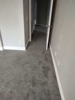 New gray carpet  More than 1000 sq f