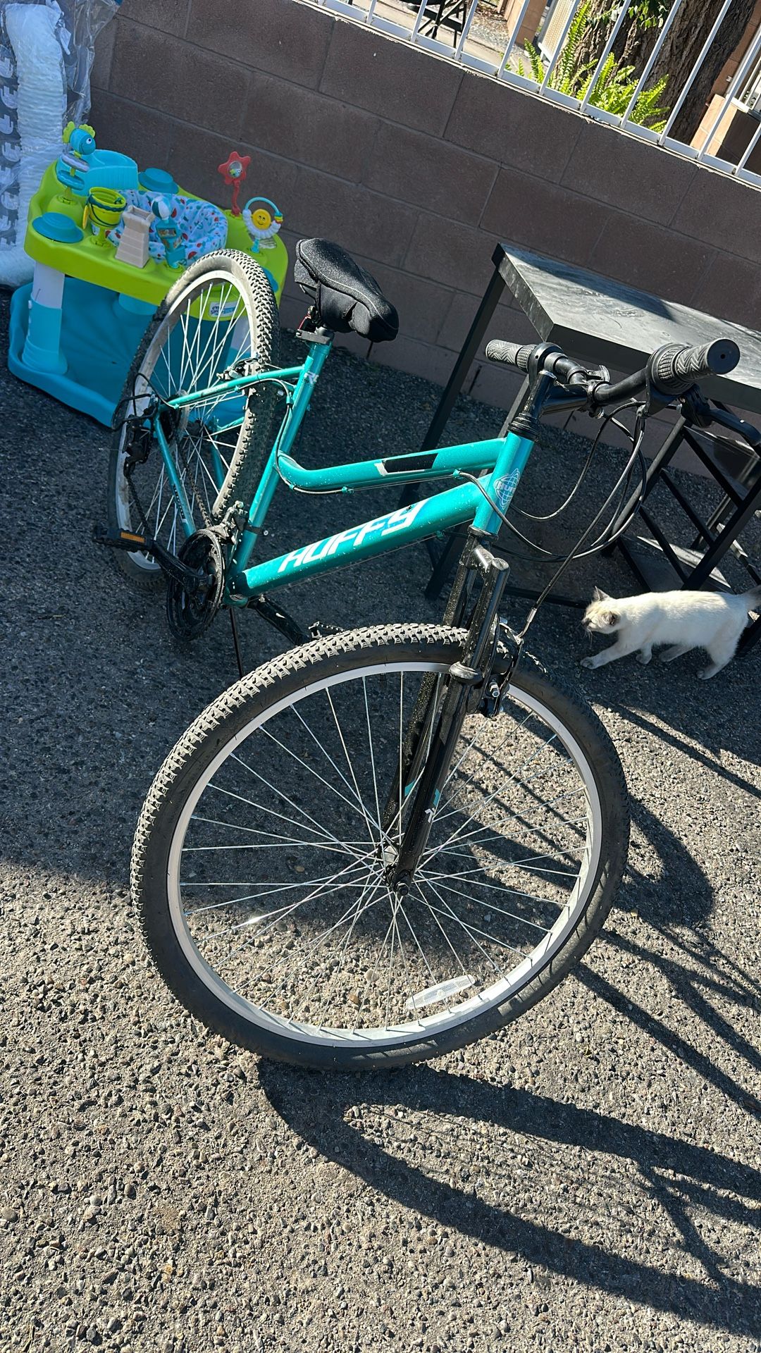Women’s Bike