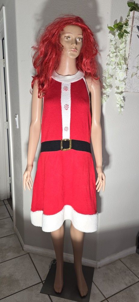 Pick Up Near mlk/Craig. Mrs Santa Clause Dress.  