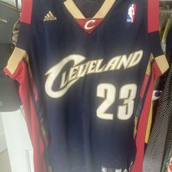 Lebron James Authentic Jersey 