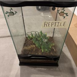 Zoo Med 12x12x18 Terrarium