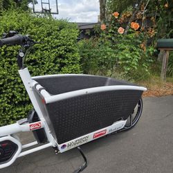 Urban Arrow (2019) - Best Cargo Bike Ever