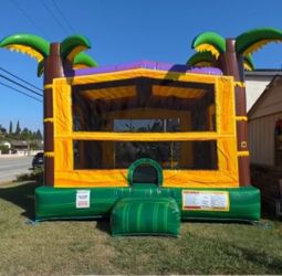 Tropical Bouncer