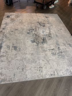 8x10 Area Rug