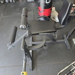 Leg Extension And Curl Machine 