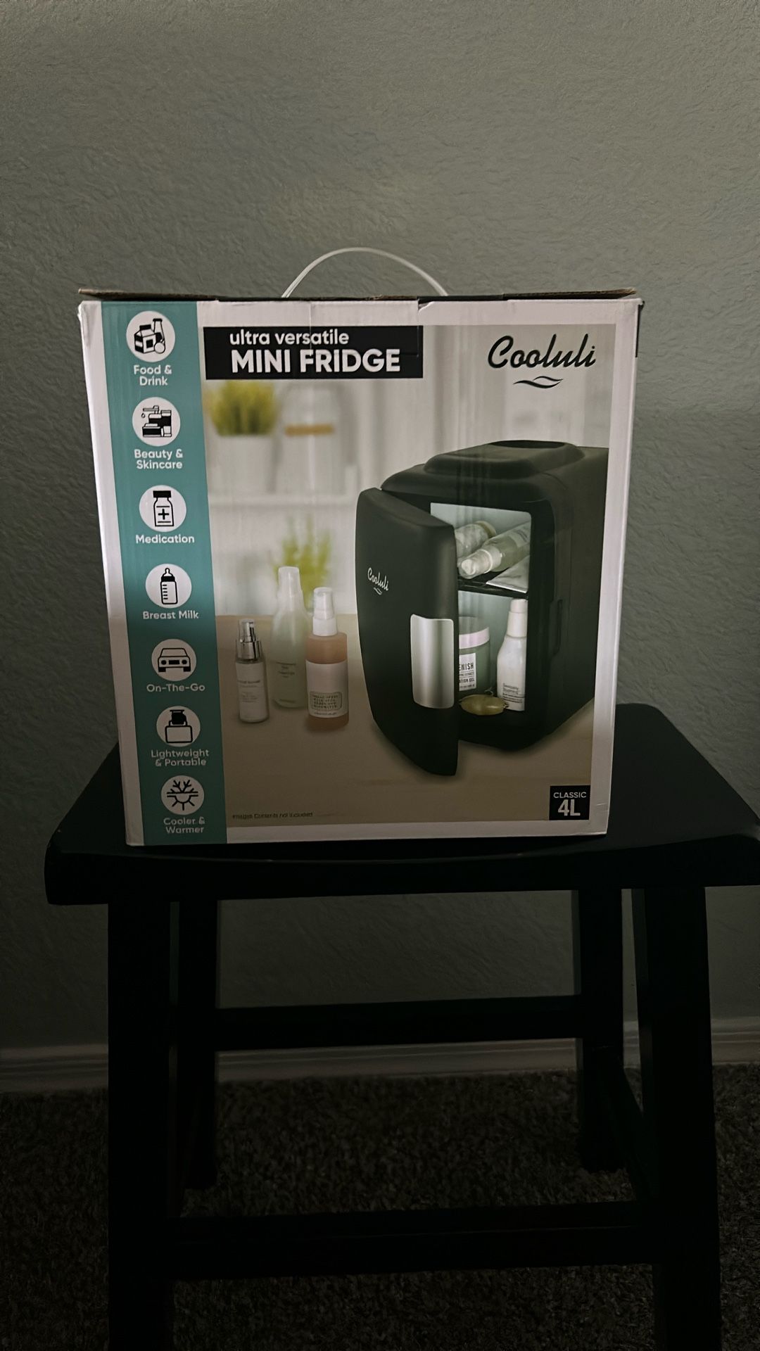 Mini Fridge