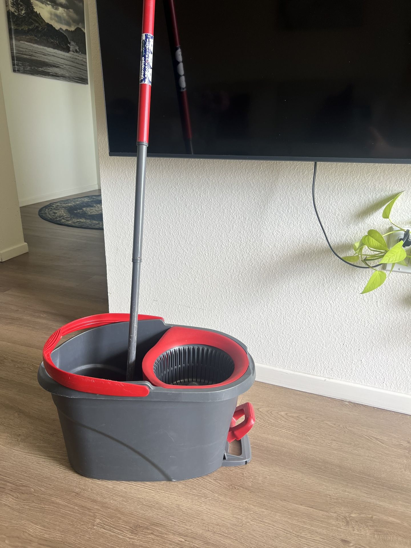 Vileda EasyWring Spin Mop
