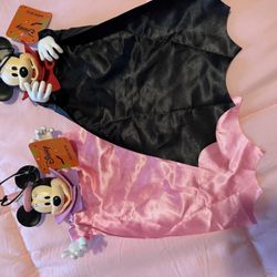 Mickey & Minnie Hanging Decor 