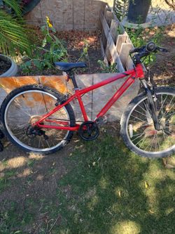24" rock rider kids mountain bike