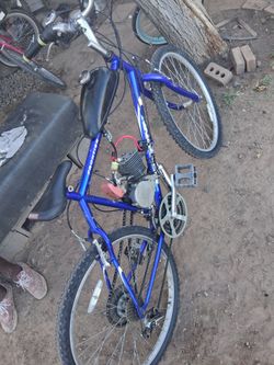 Gas powered bike