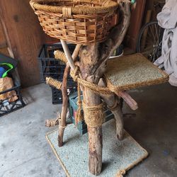 Driftwood Cat Tree Free