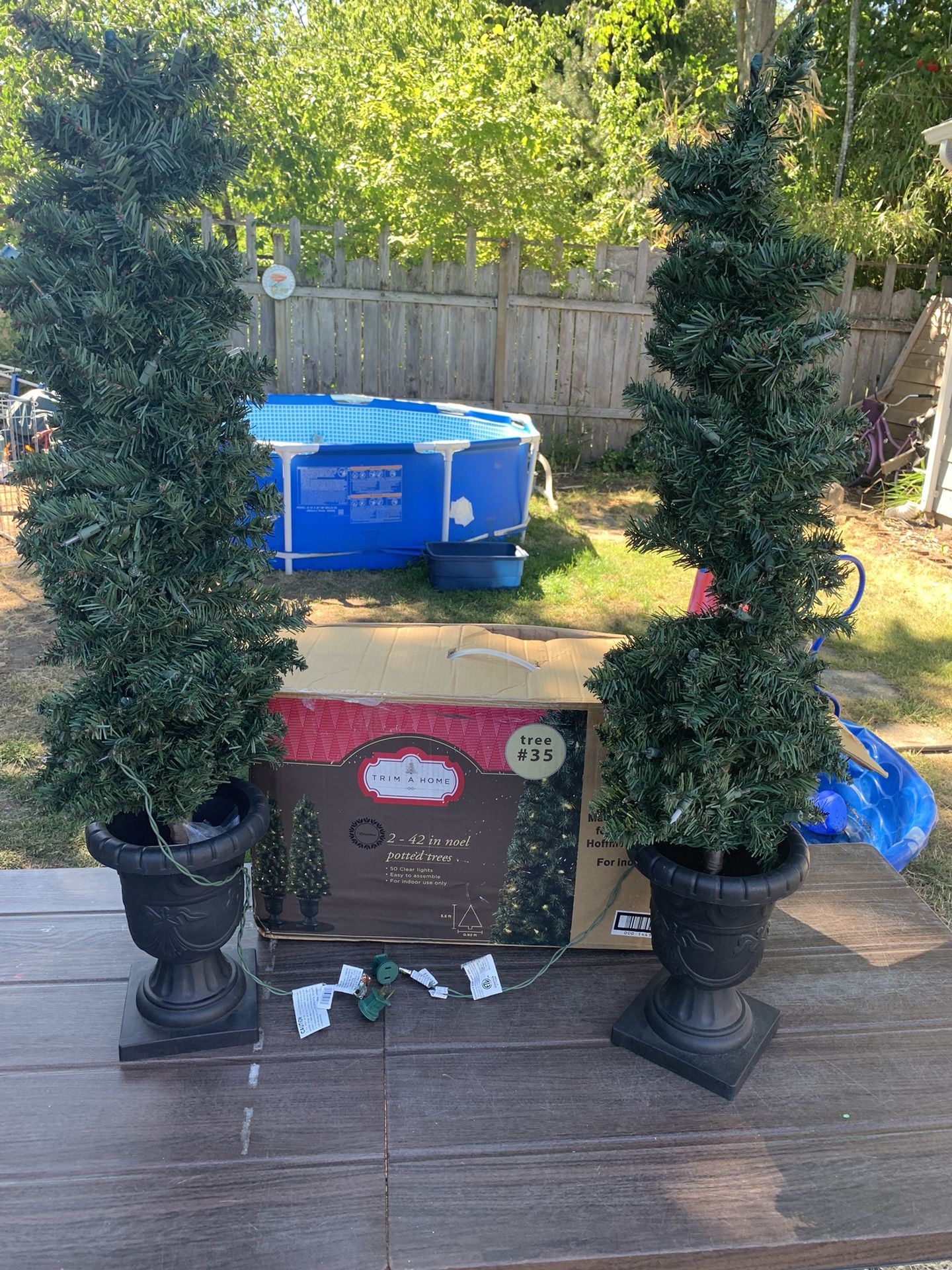 2 - 42 in noel potted trees