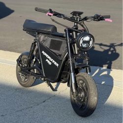Roadrunner Pro Electric Bike 