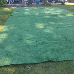 Indoor/Outdoor Carpet
