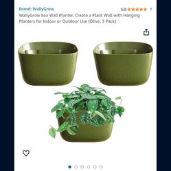 Plant Pots Wall Plant