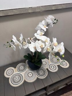 Succulent white artificial orchid