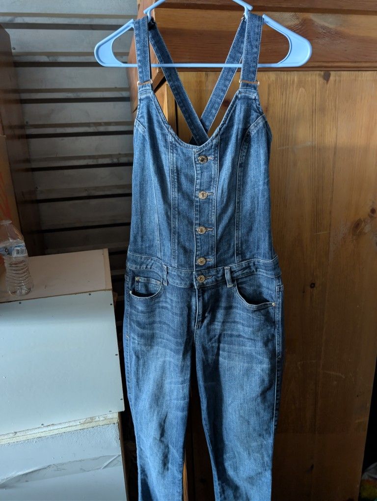 Guess Brand Overalls