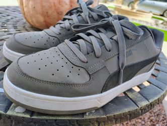 Pumas
