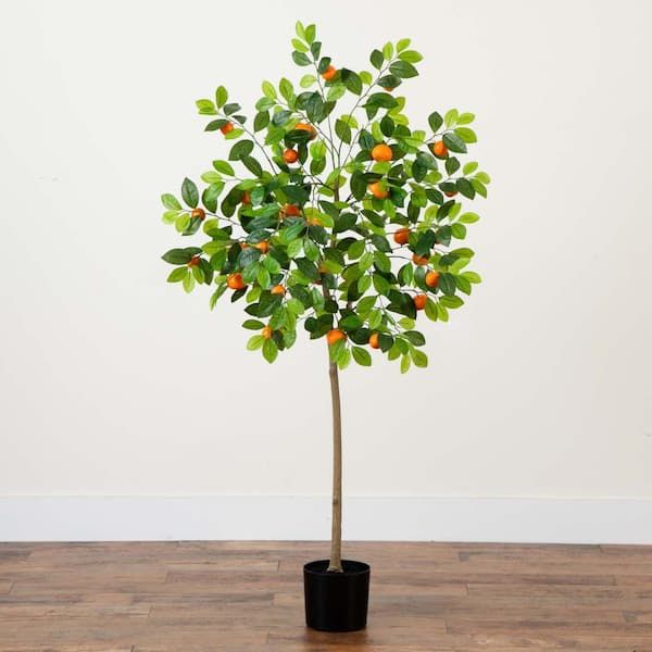 Tangerine Tree in Nursery Fruit Decor