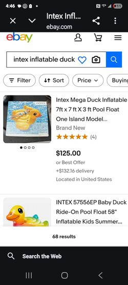 Lrg floating duck