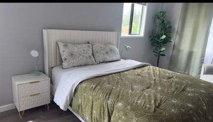 Queen Size Velvet Bed + Mattress Bundle – $100