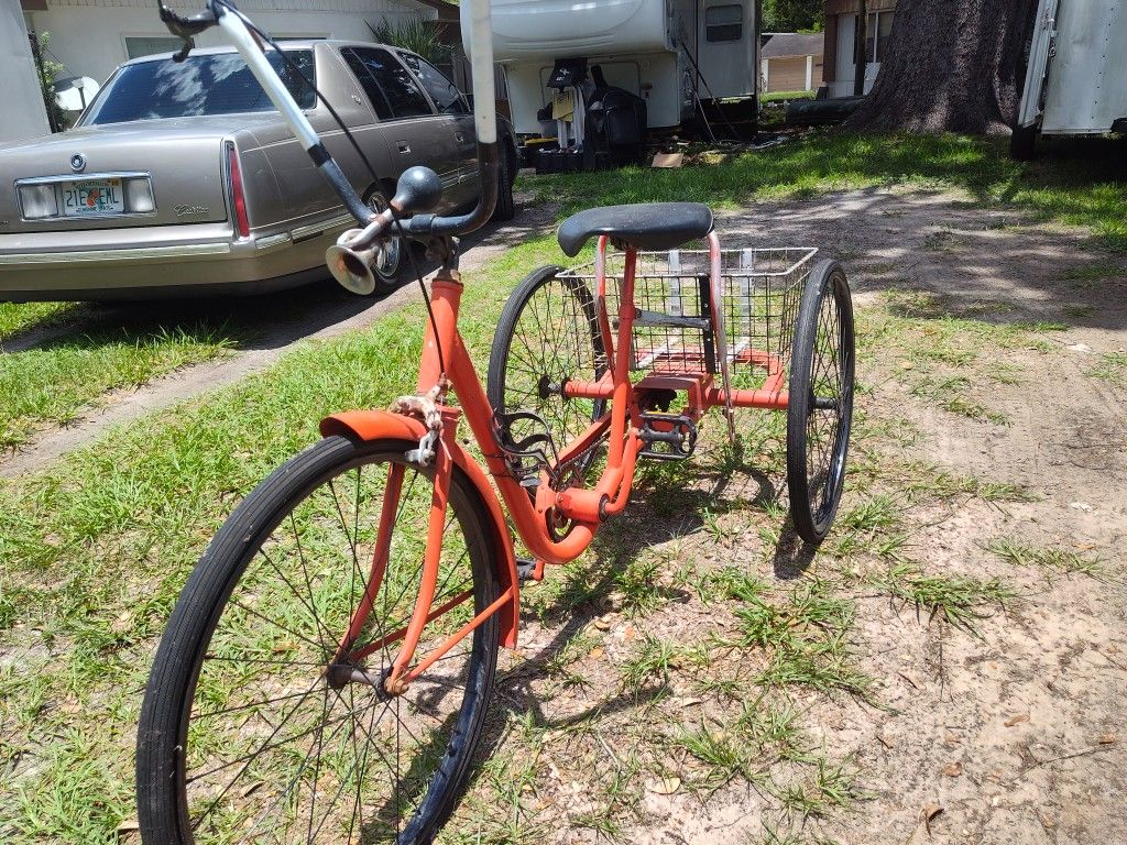 3 Wheel Tricycle Bicycle (Flat Tires)