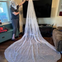 Cathedral shimmer Bridal Veil