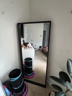 Large Black Frame Floor Mirror