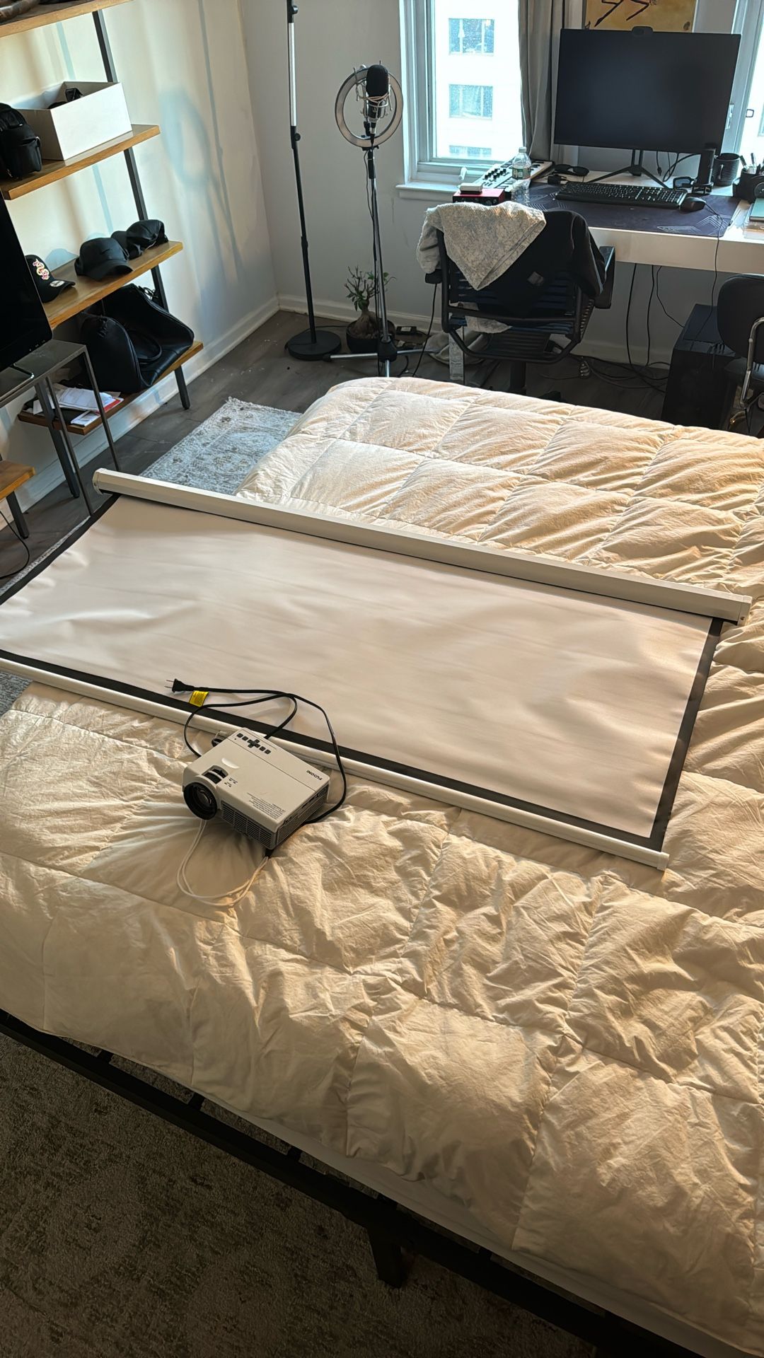 Projector Screen And projector 