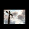Daryl Cross