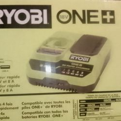 Ryobi Rapid Charger