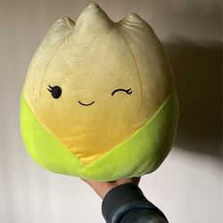 Squishmallow 