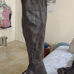 Thigh High Boots NWOT