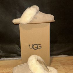 Uggs Slide On