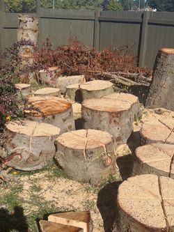 Free wood