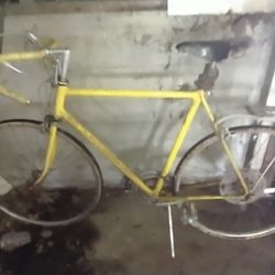Schwinn Super Sport 10-Speed Classic Bicycle