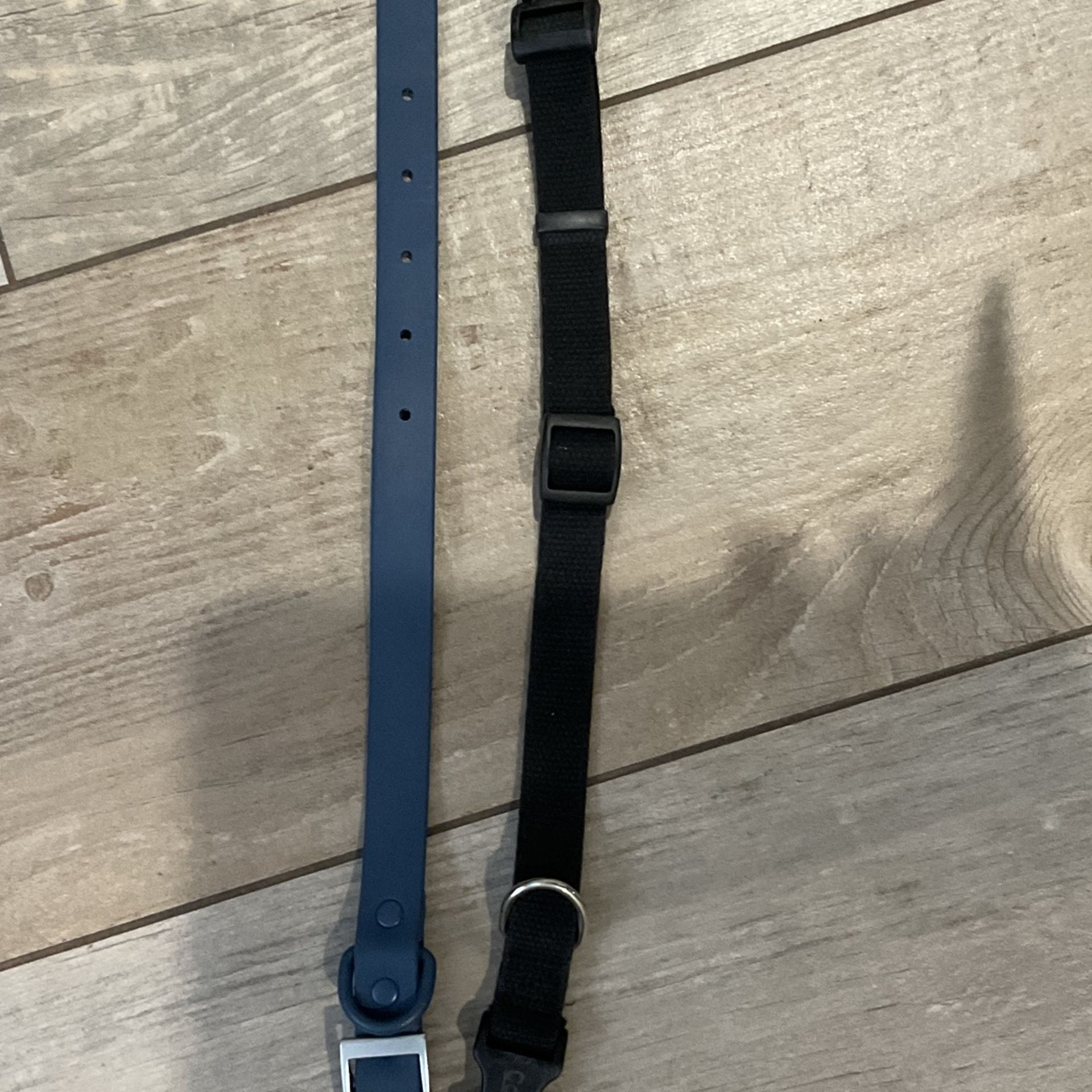 Dog Collar