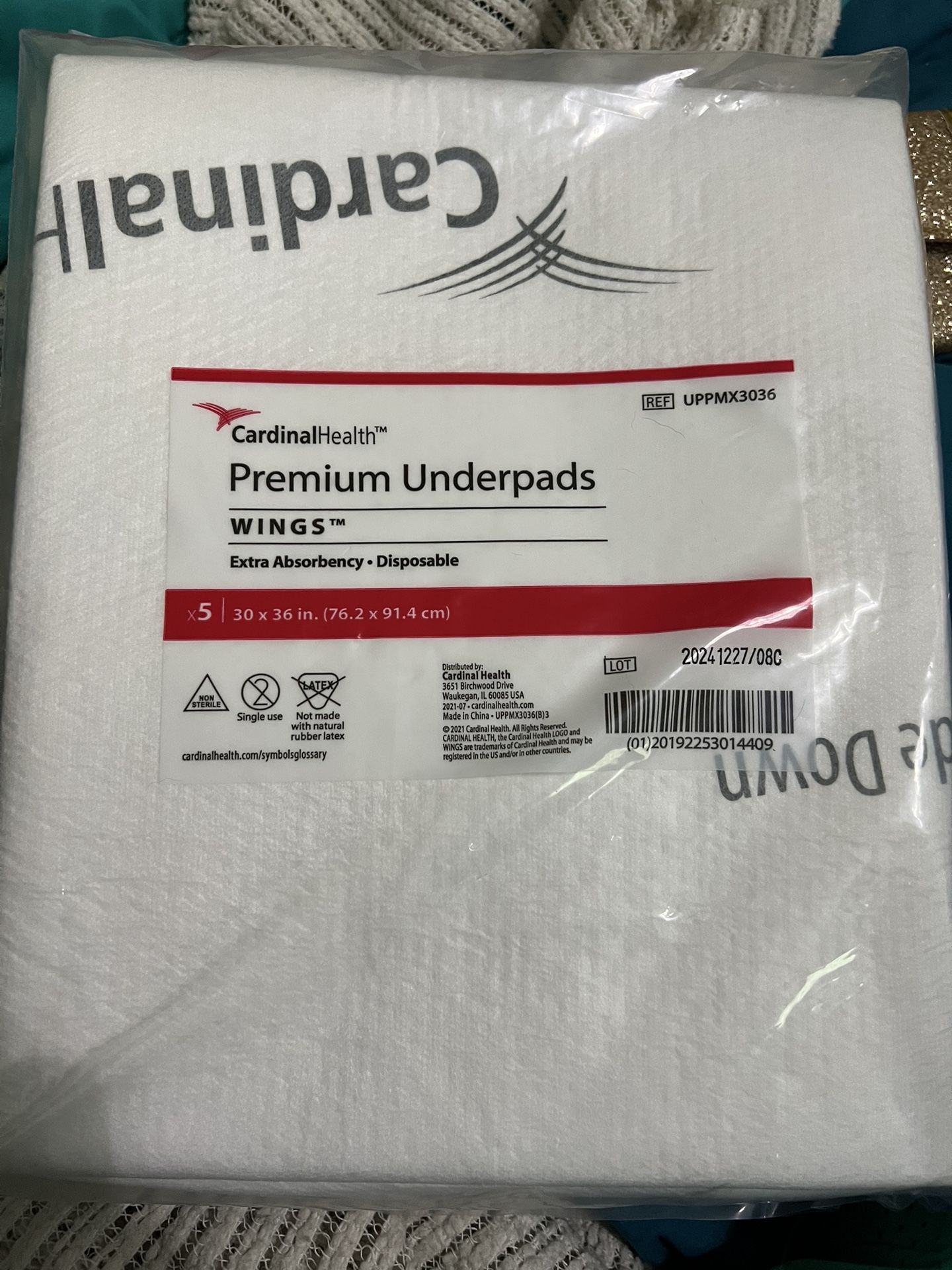 Adult Underpass