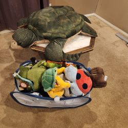 A Lot Of Stuffed Animals 