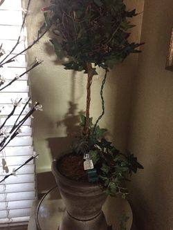 Ivy 26 x8 lighted Pot