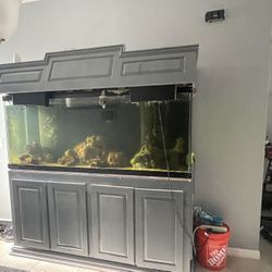 Aquarium 175 Gl