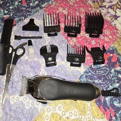 Wahl, Remington And Conair 